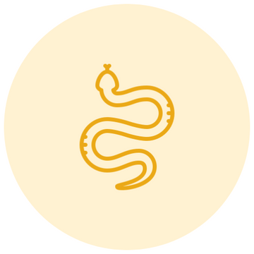 Kalsarp Dosha Report